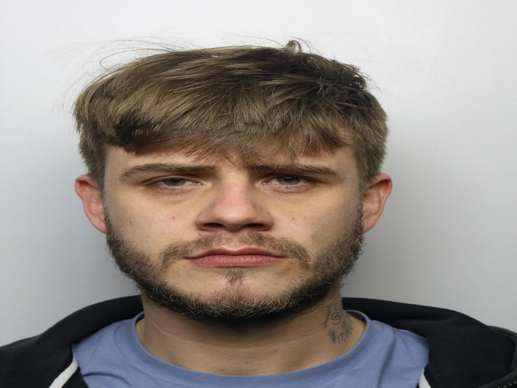 Bradley Stevenss photo