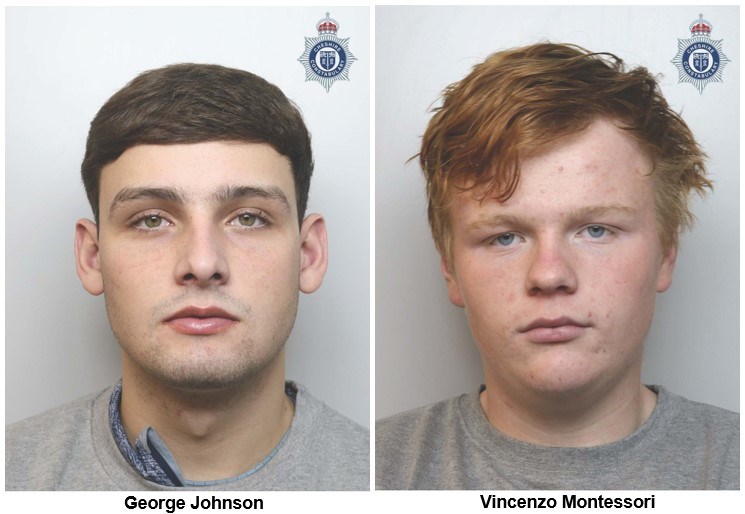 George Johnson, Vincenzo Montessoris photo