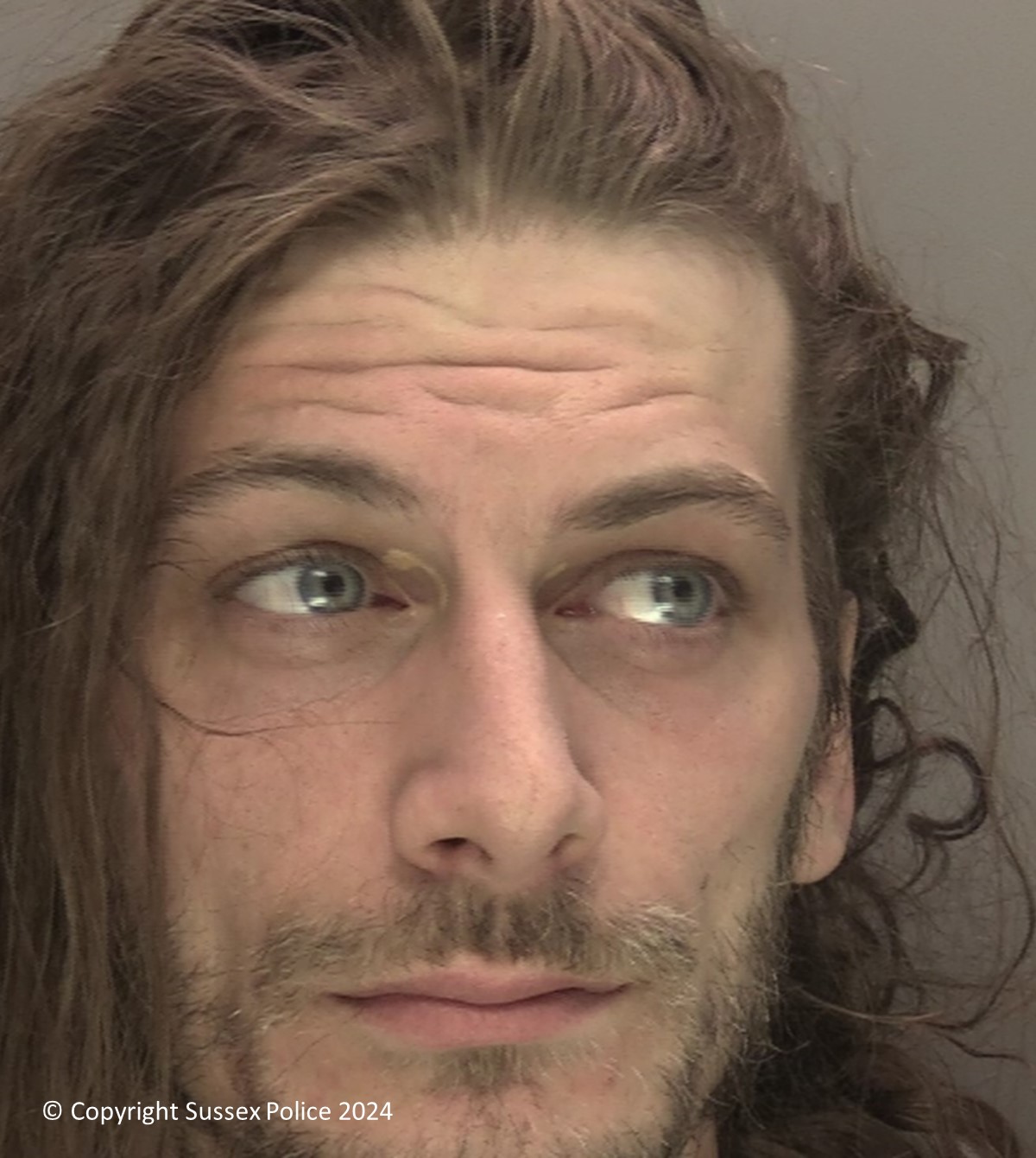 Steven Shevlins photo