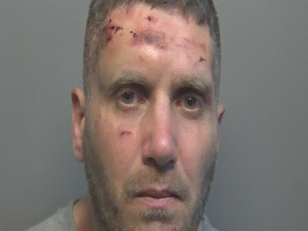 Stefan Kelemans photo