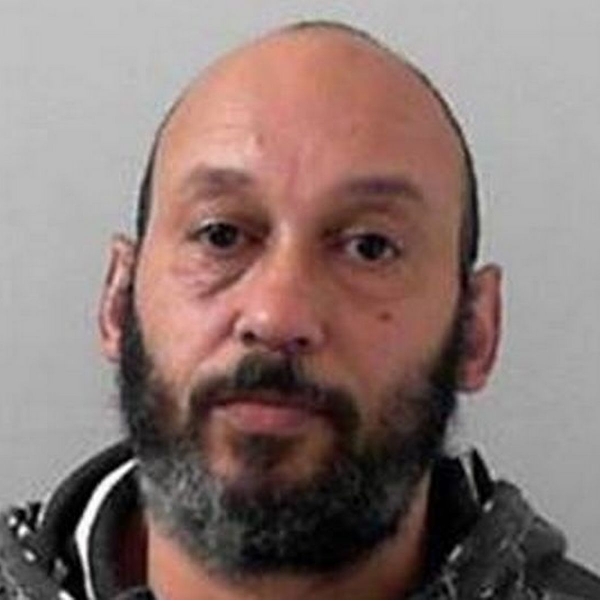 Adrian Browerss photo