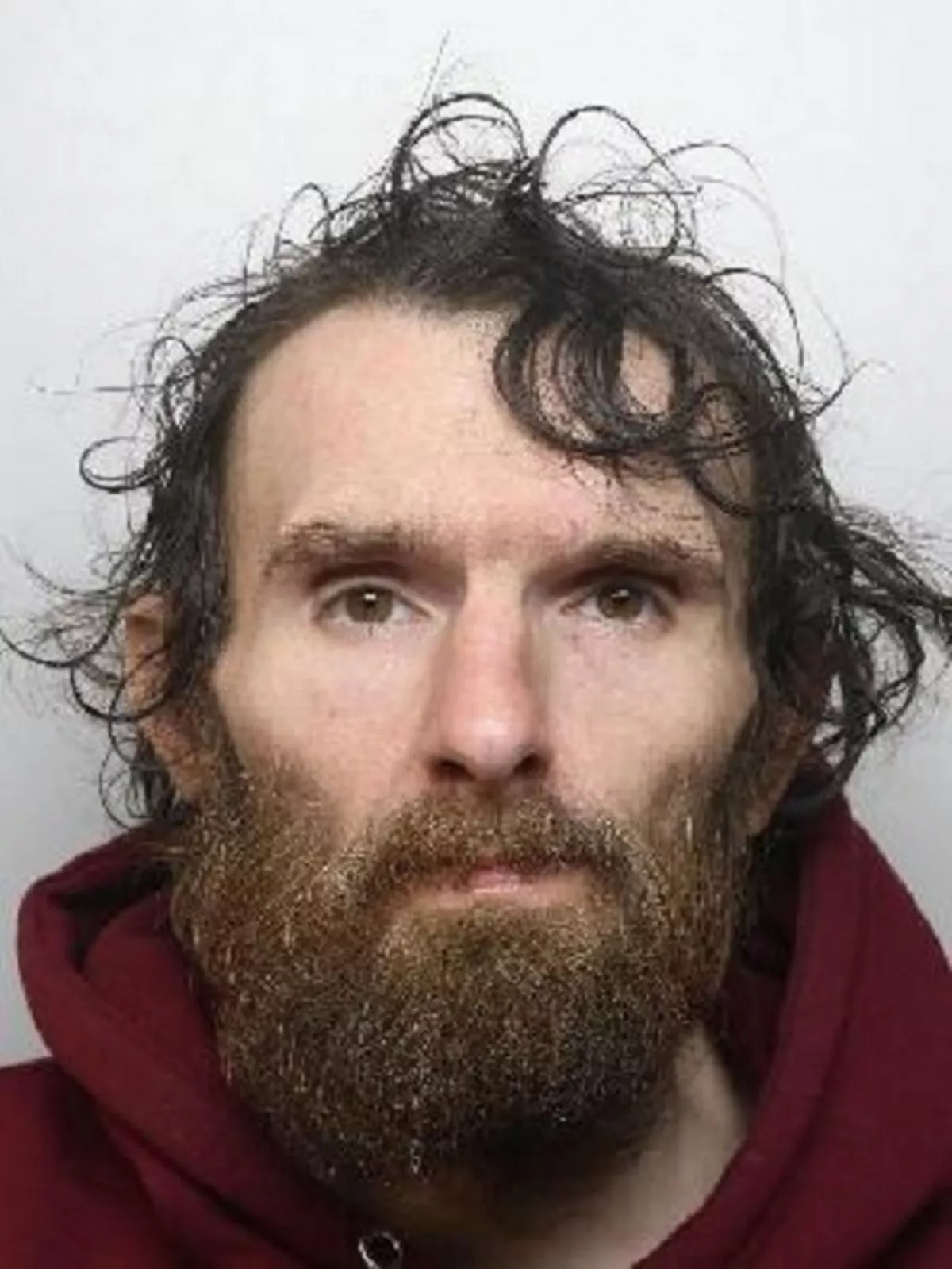 Luke Whitfields photo