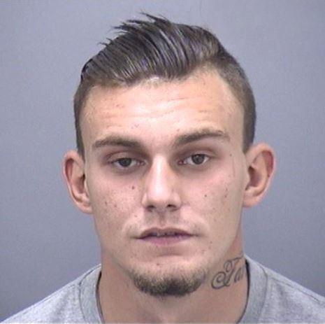 Jaimie Reevess photo