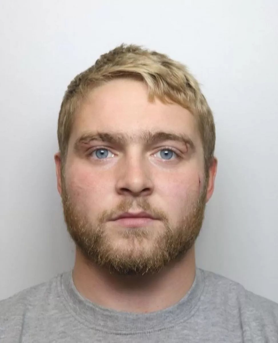 Daniel Jeffriess photo