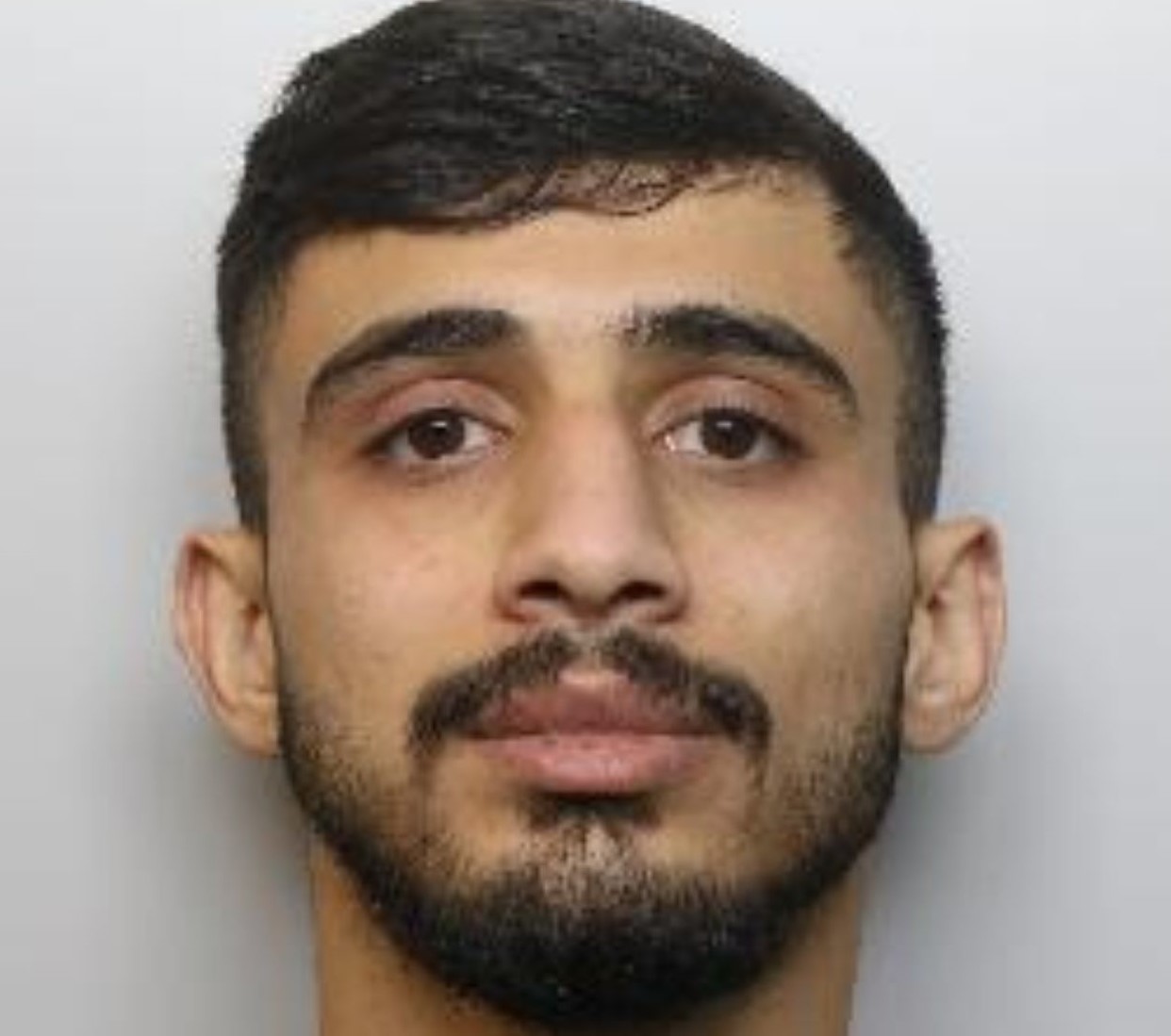 Dilbirin Cheikhes photo