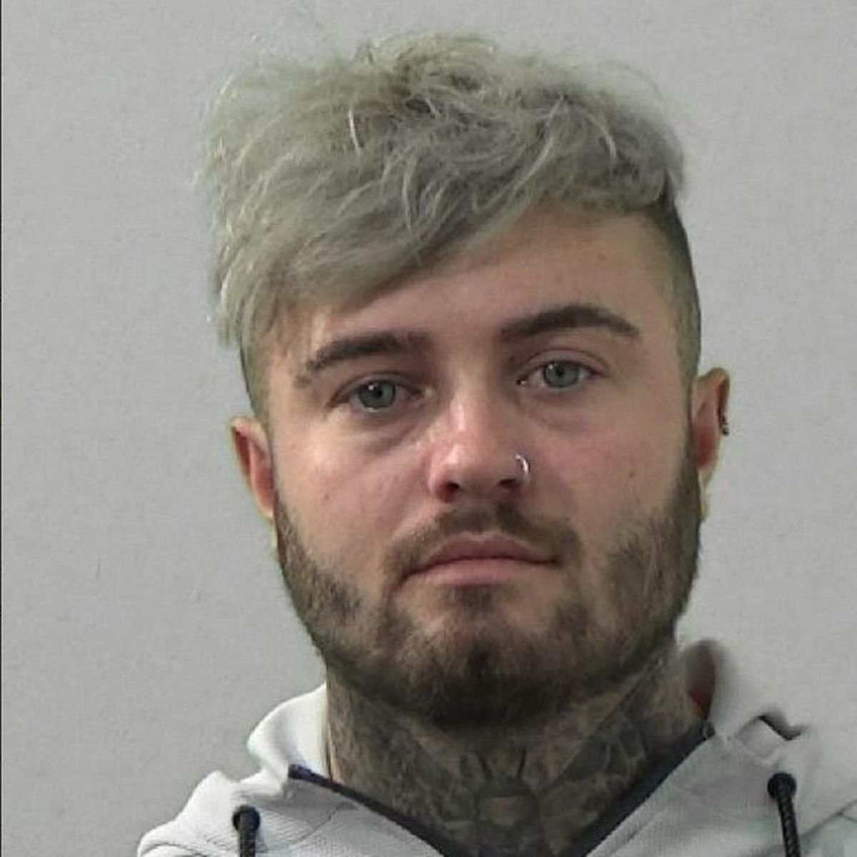 Nathan Maxwells photo