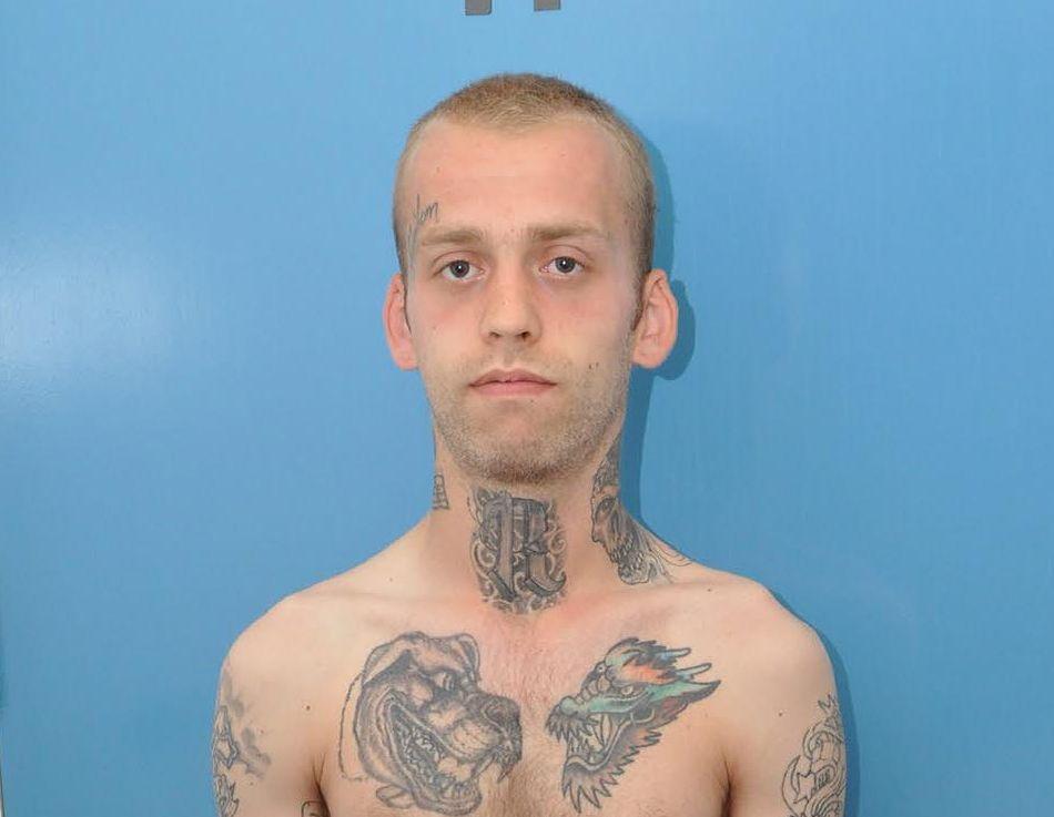 Stephen Nicholsons photo