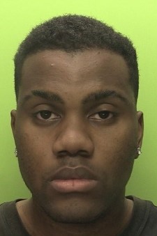 Reaquain Palmers photo