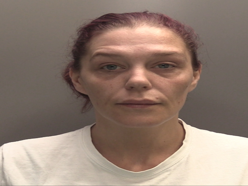 Sarah Campbells photo