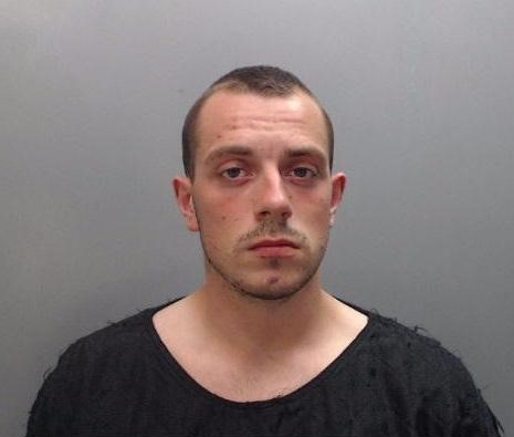 Sean Steven Taylors photo