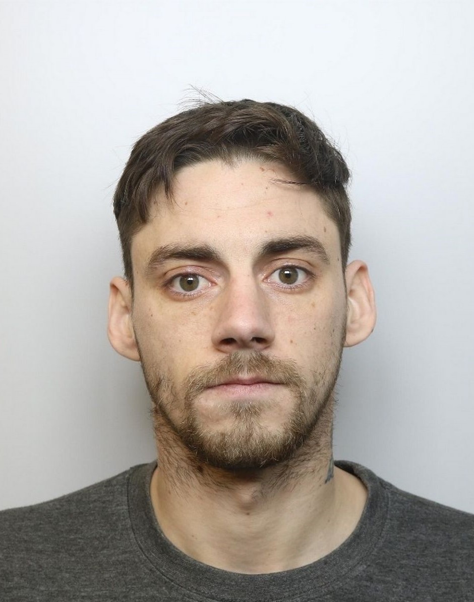 Daniel Deloozes photo