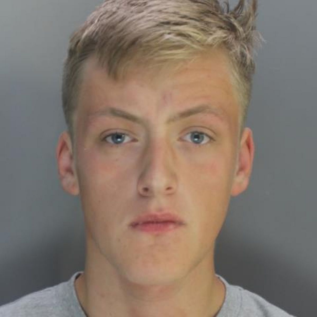 Jack Williamss photo