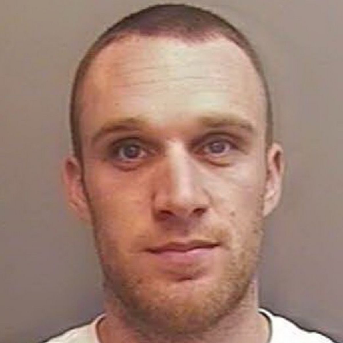 Nathan Husbands photo