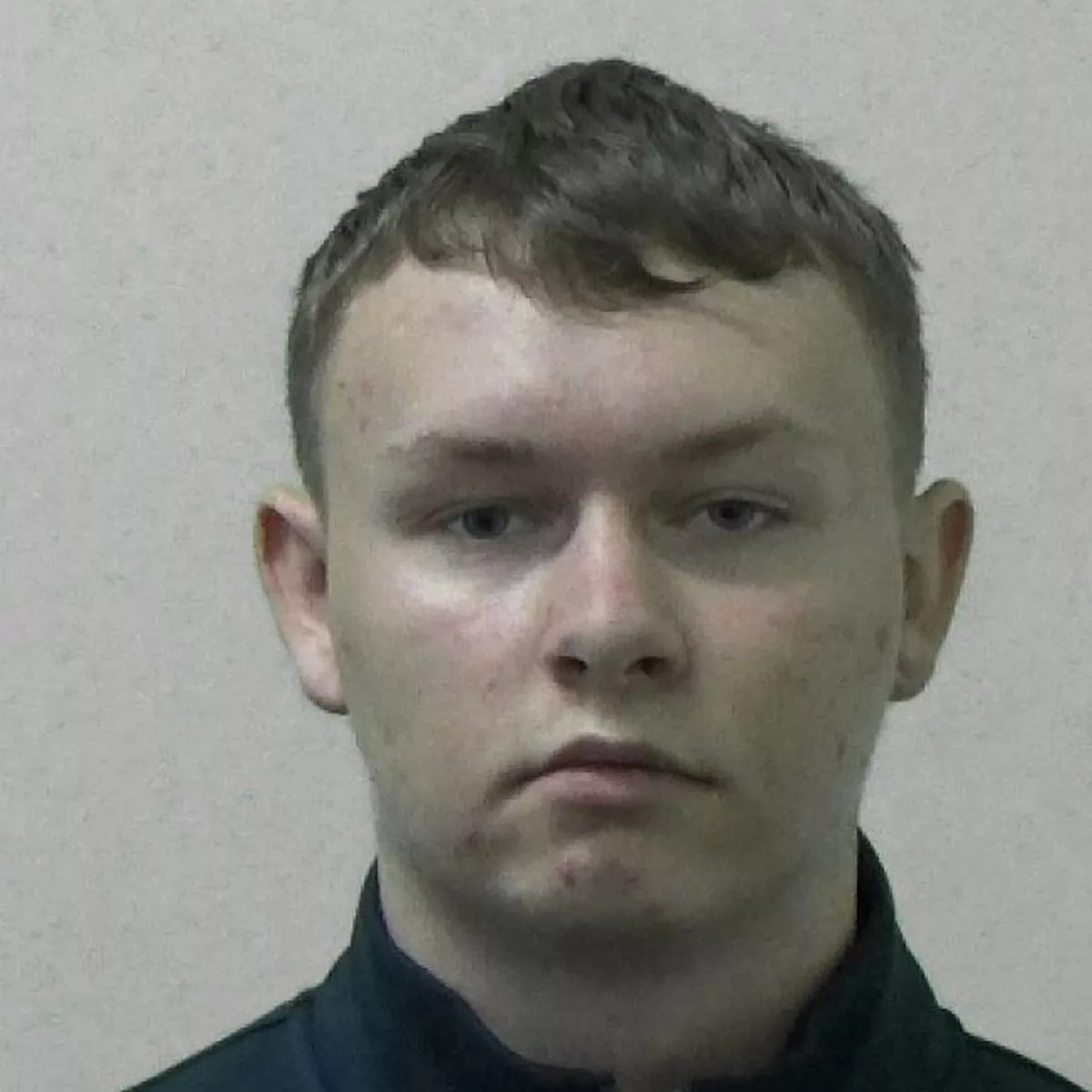 Karl Kingstons photo