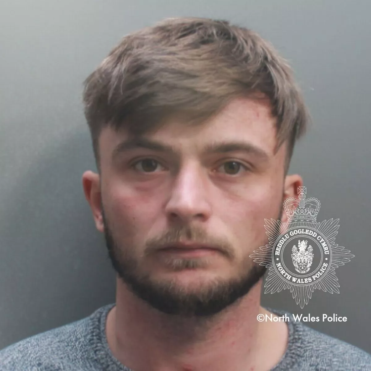 Joshua Waldrons photo