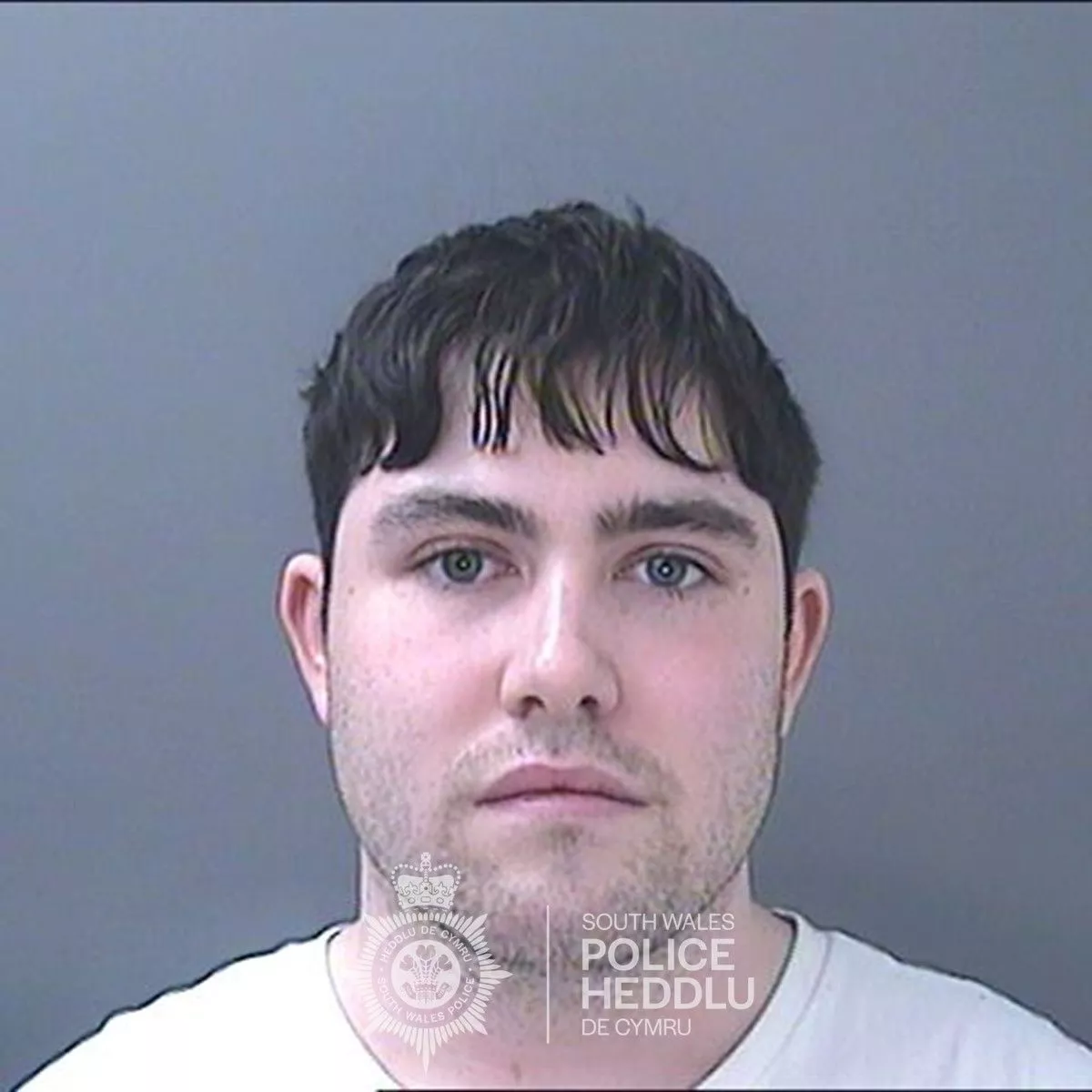 Joshua Tatchells photo