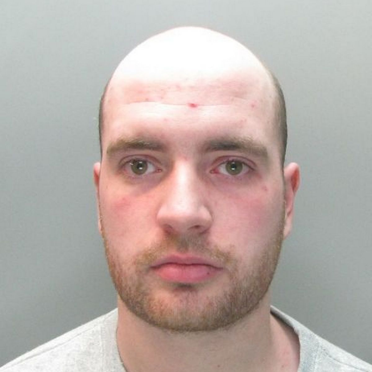 Aaron Scanlons photo