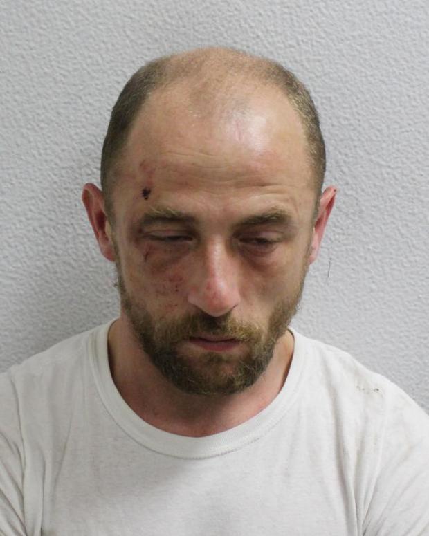 William Trotters photo