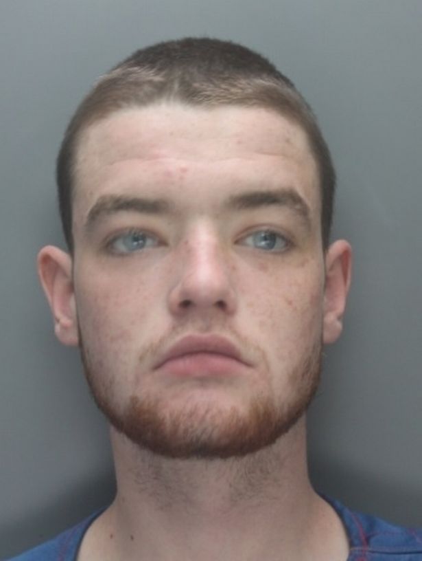 Stephen Lequesnes photo