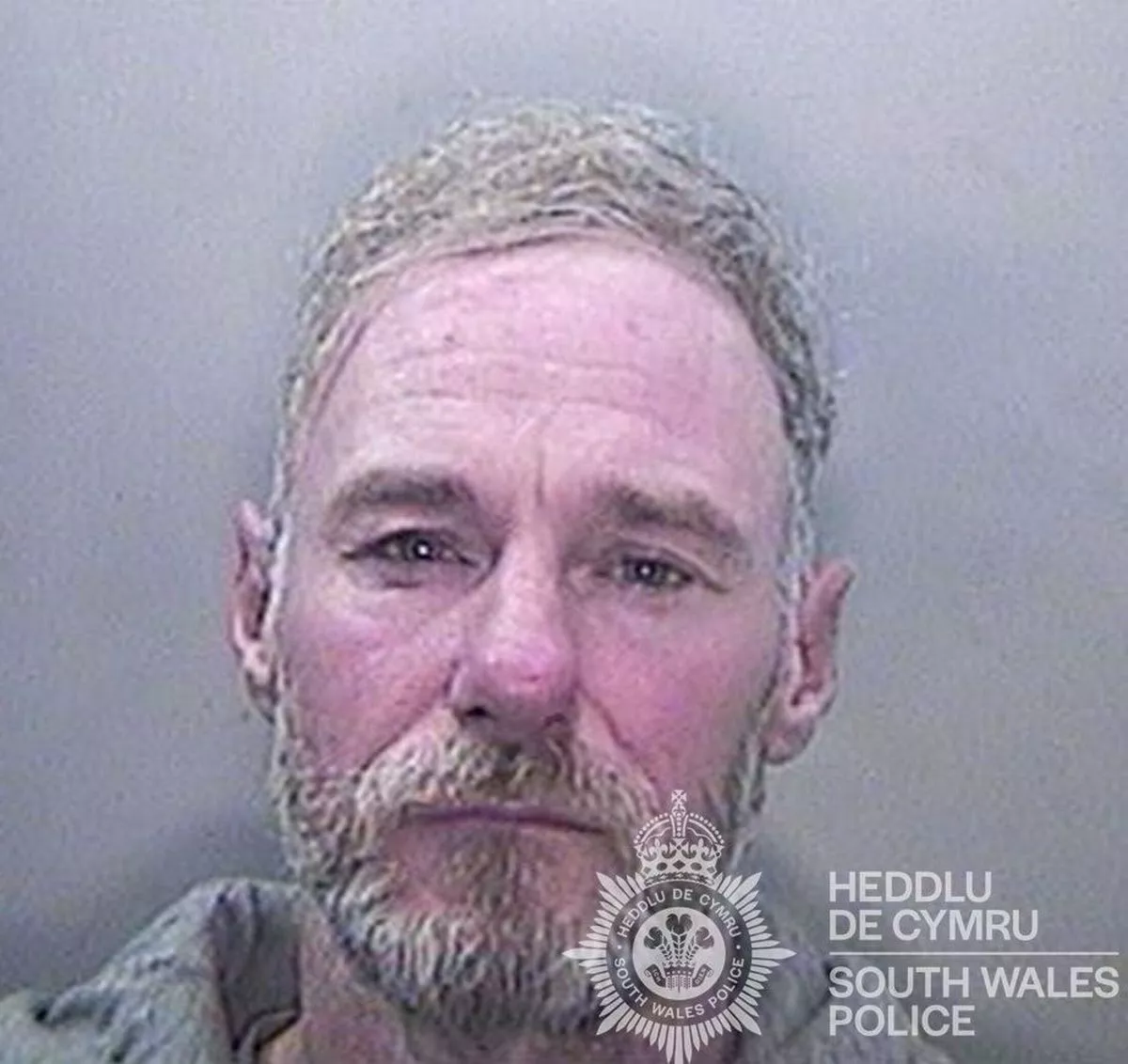 Anthony Lewiss photo