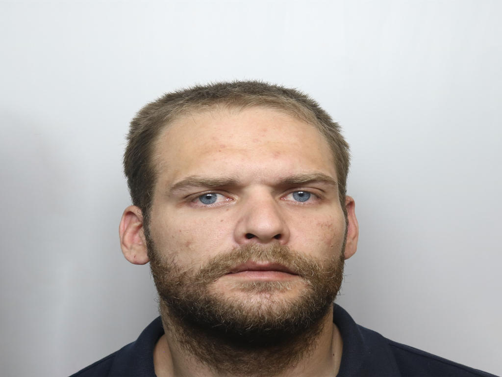 Daniel Nortons photo