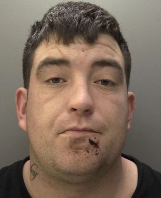 Lewis Harrisons photo