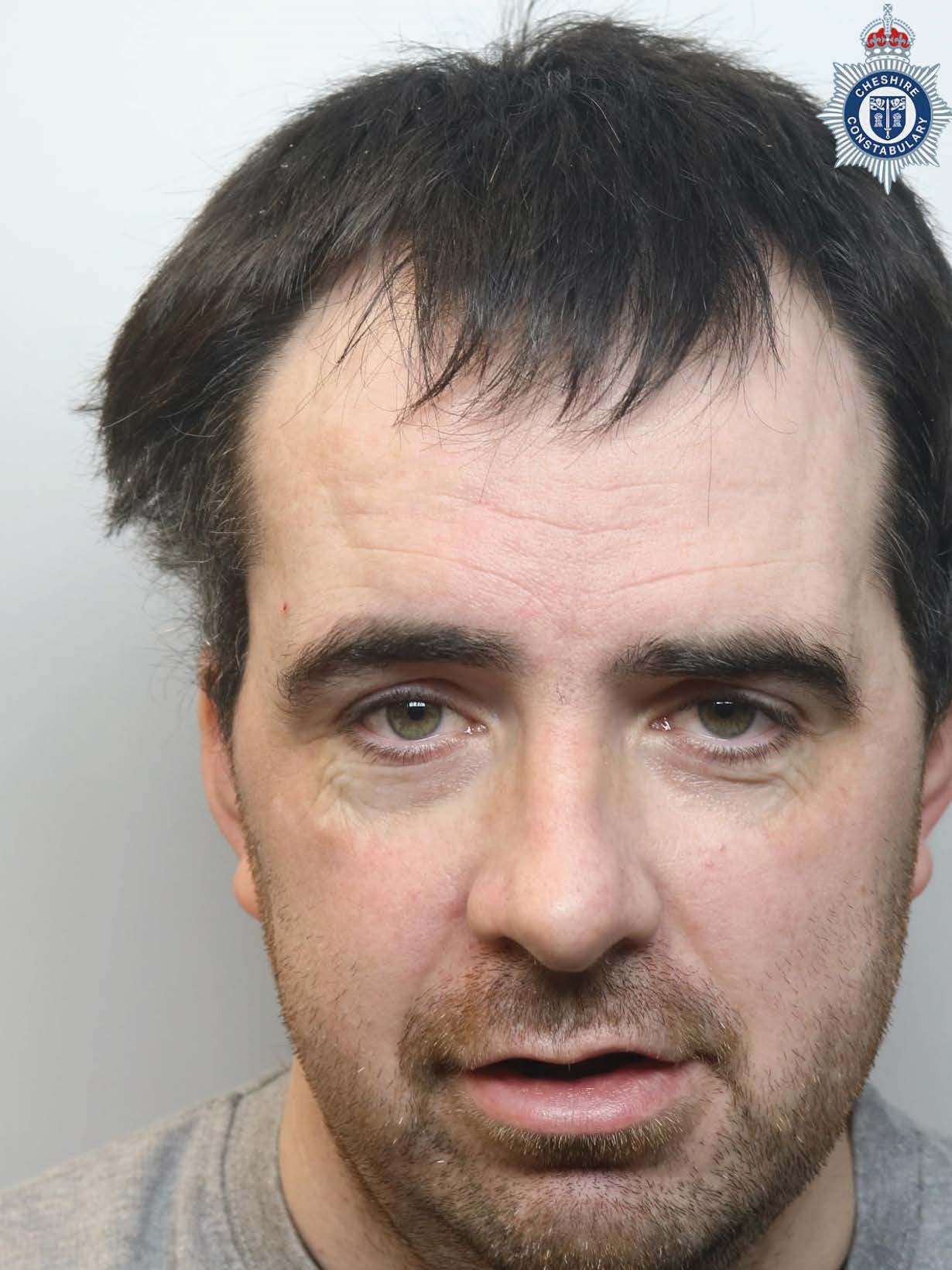 Daniel Brinksmans photo