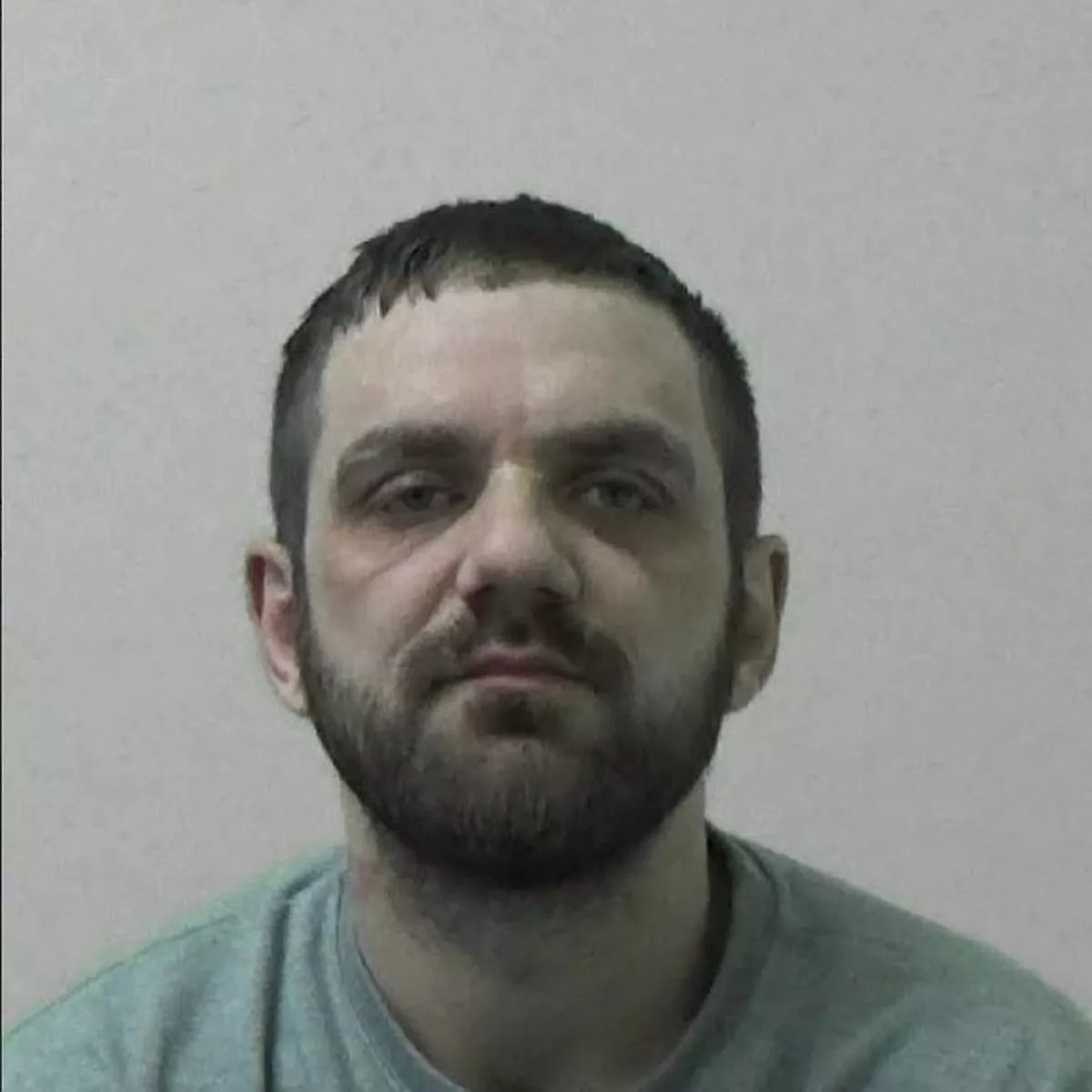 Bruce Pattersons photo