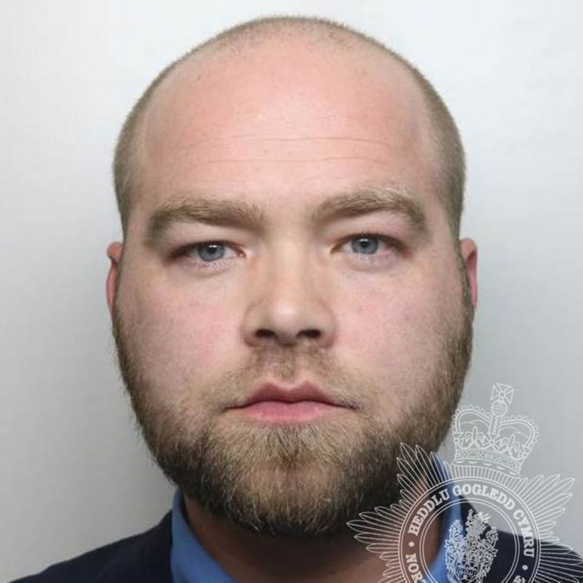 Jared Bassetts photo