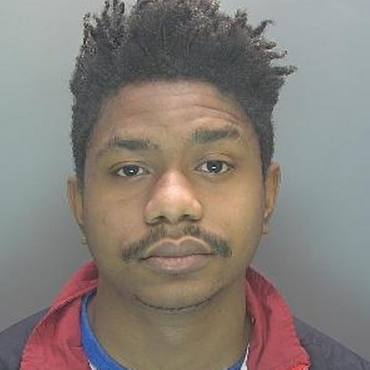 Timothy Morriss photo