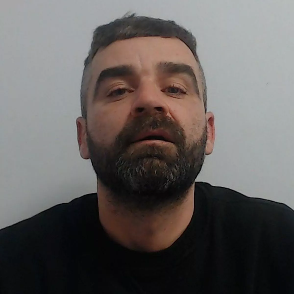 Ashley Clearys photo