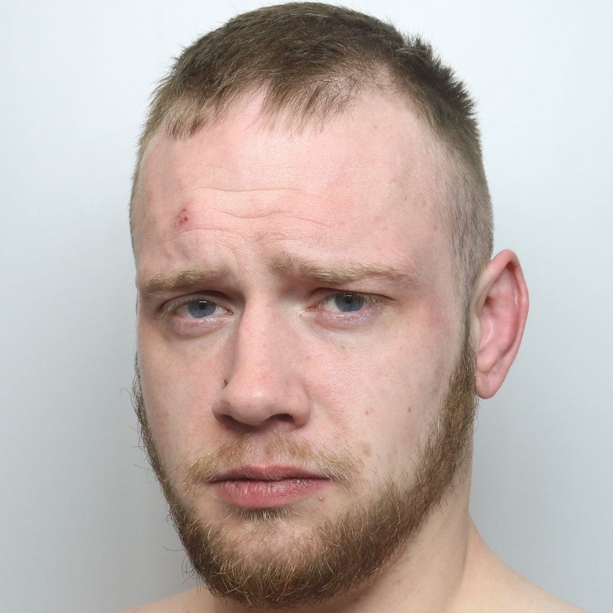 Perry Wheatleys photo