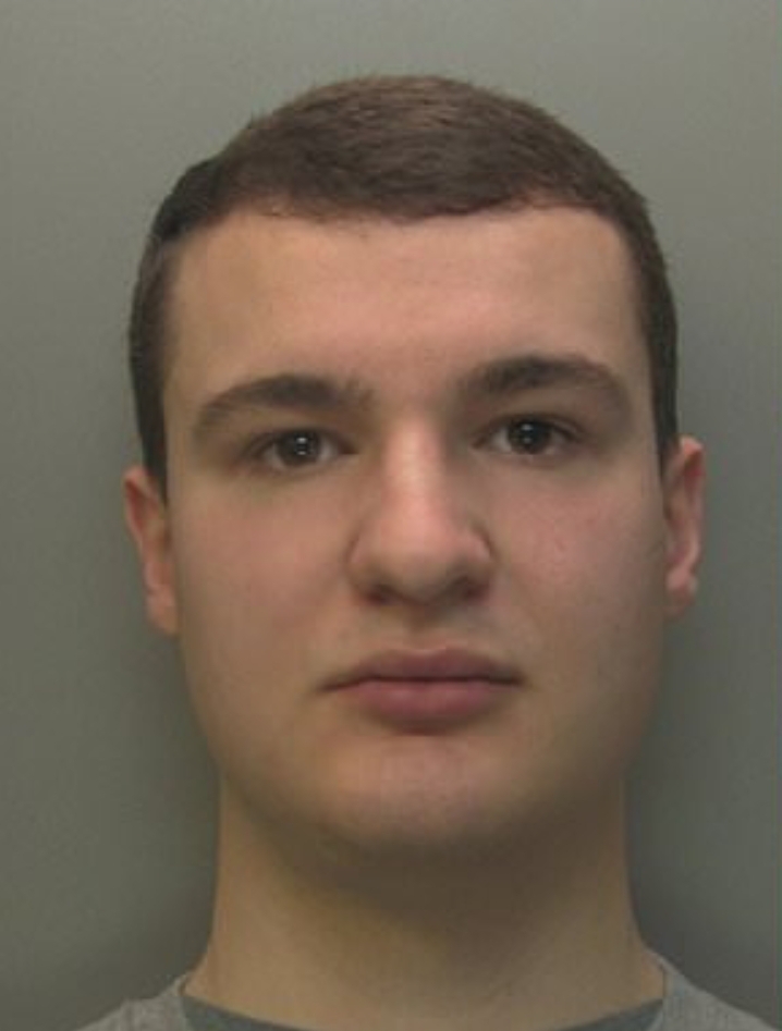 William Redwoods photo