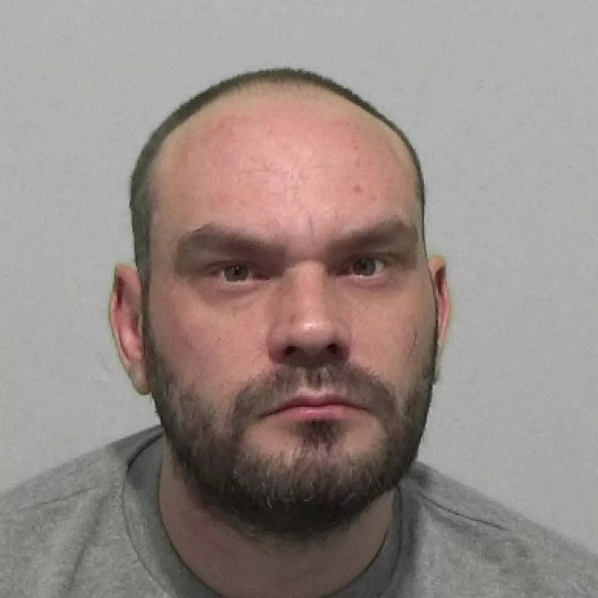 Simon Hildrews photo