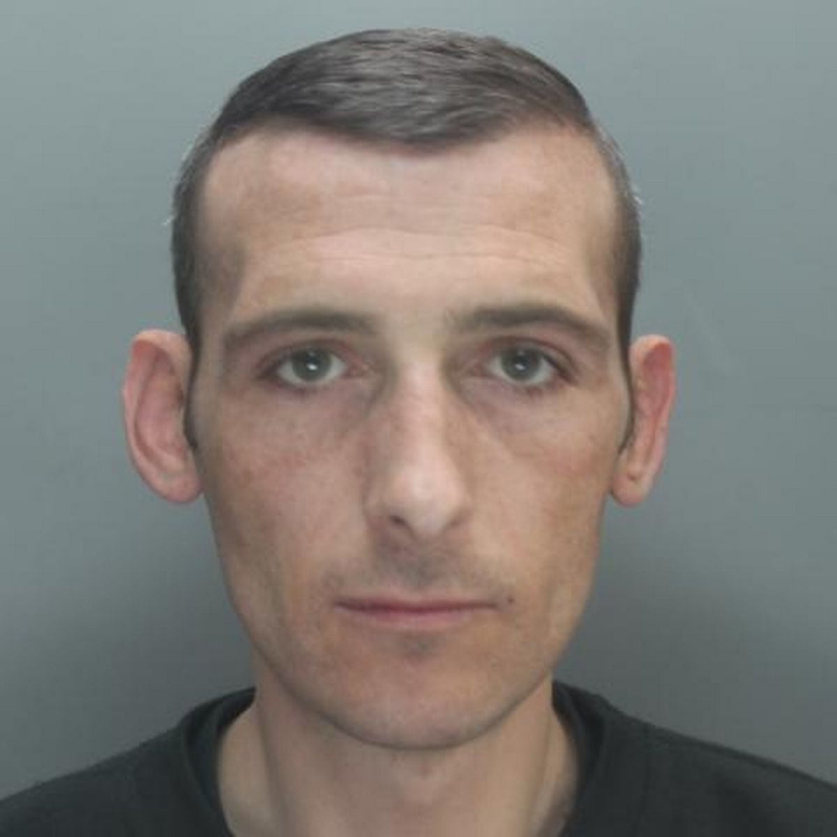 Alan Mcloughlins photo