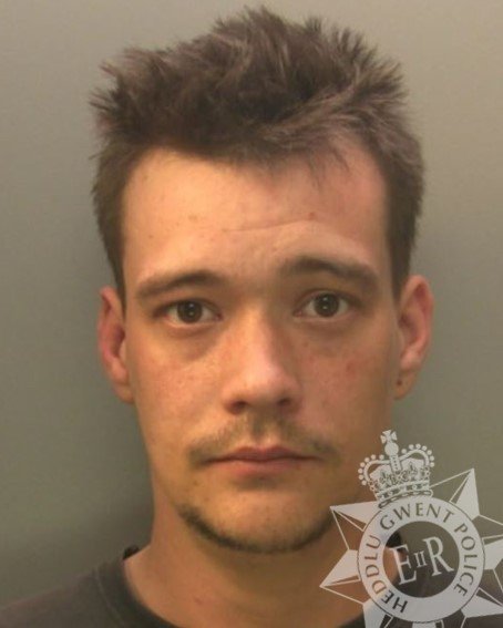 Daniel Batemans photo