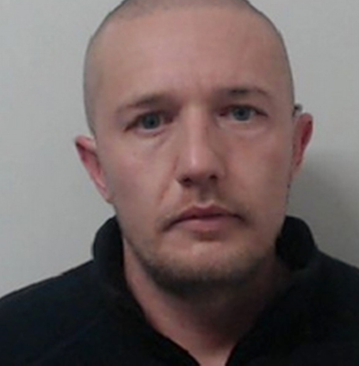 Christopher Knights photo