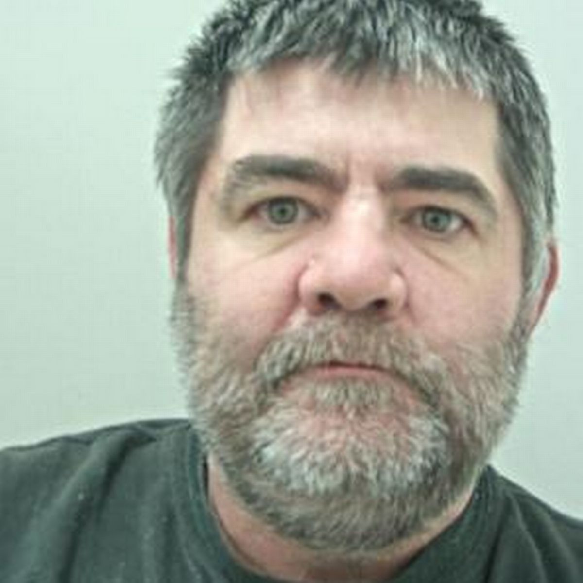 Mark Nicholsons photo