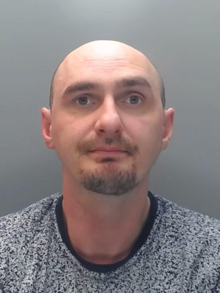 David Greavess photo