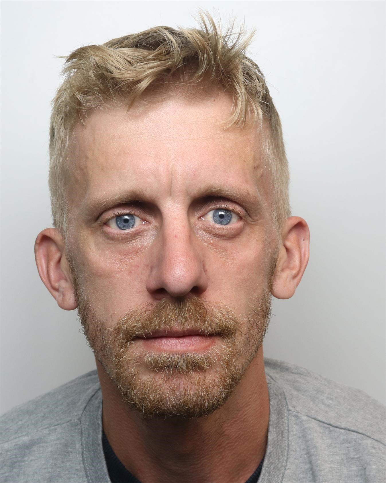 Scott Grineaus photo