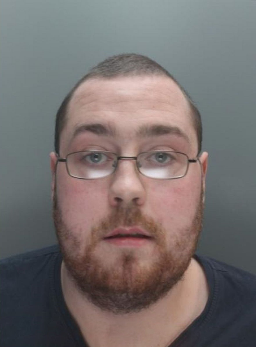 Steven Sullivans photo