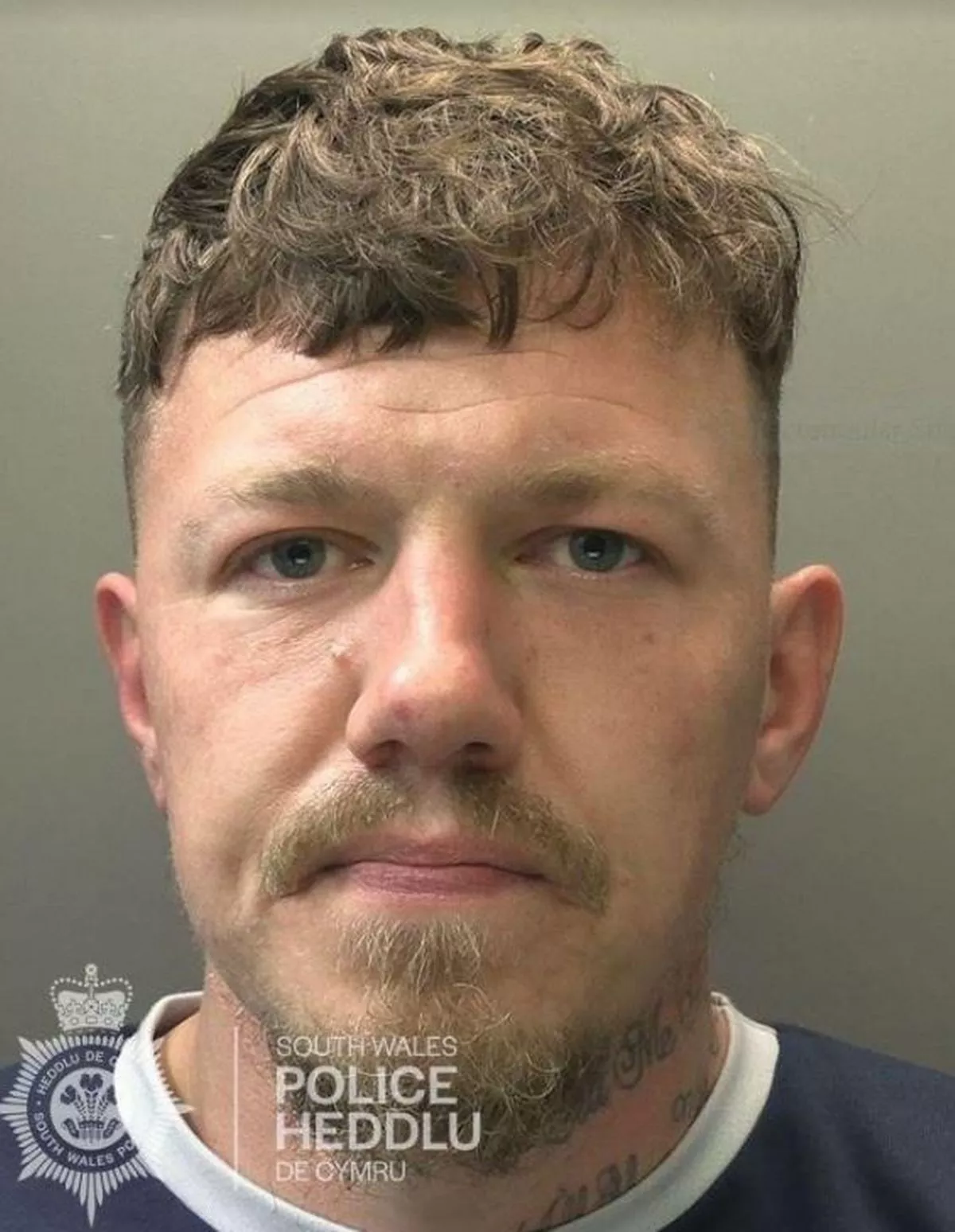 Dean Imperatos photo