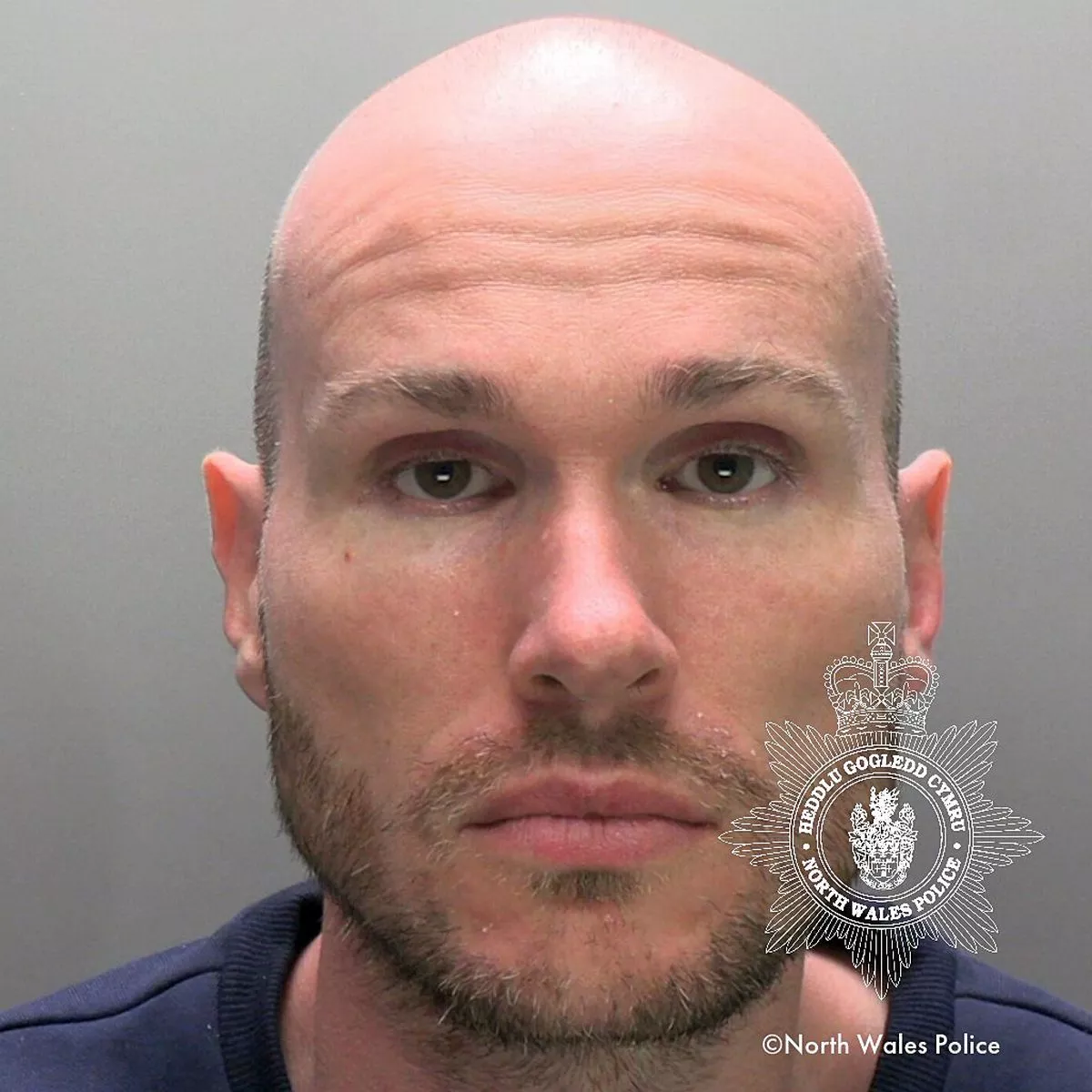 William Feltons photo