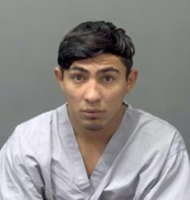 Mircea Cicalos photo