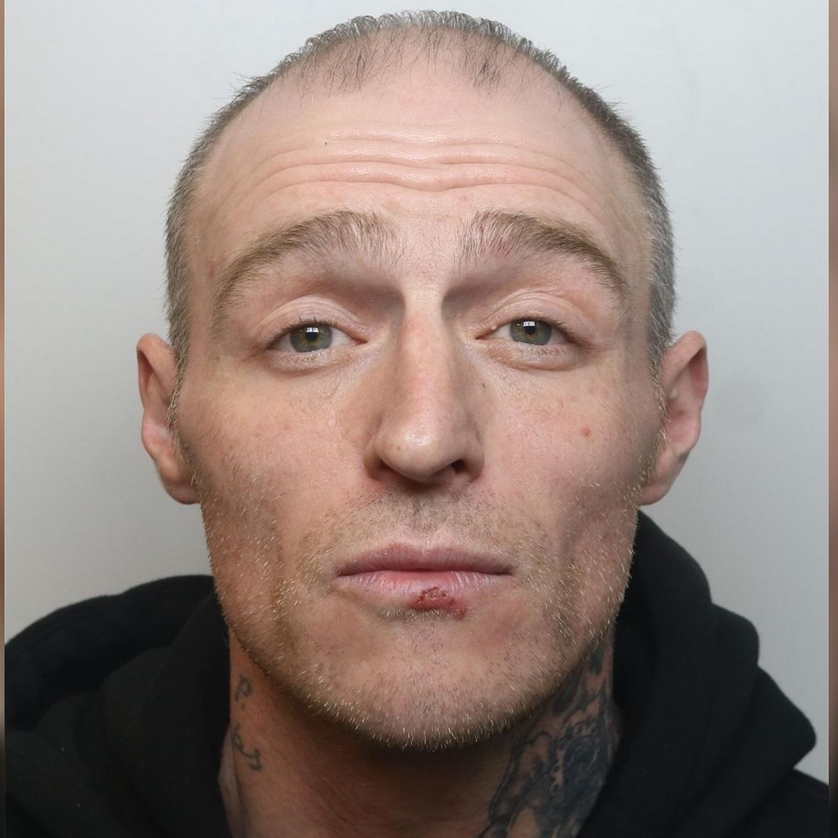 Aaron Pressdees photo