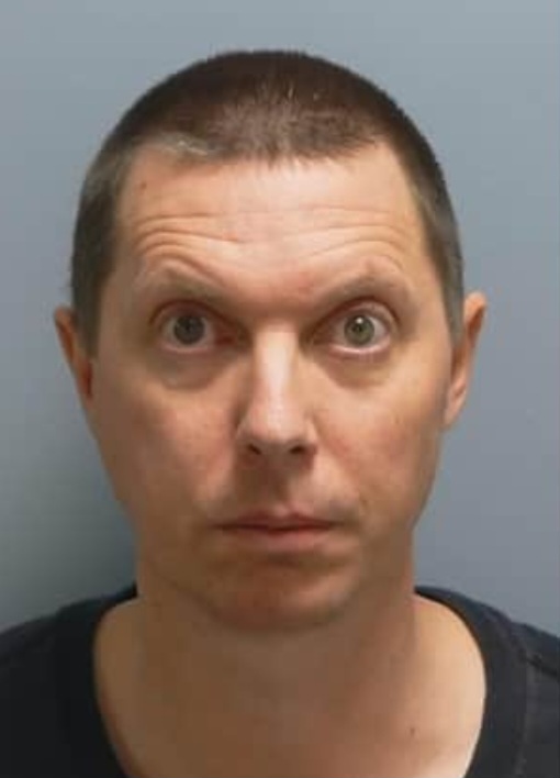 Benjamin Bulls photo