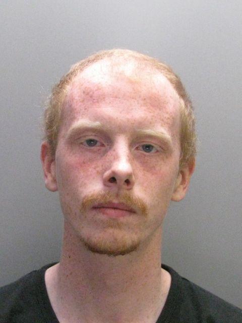 Craig Elliotts photo