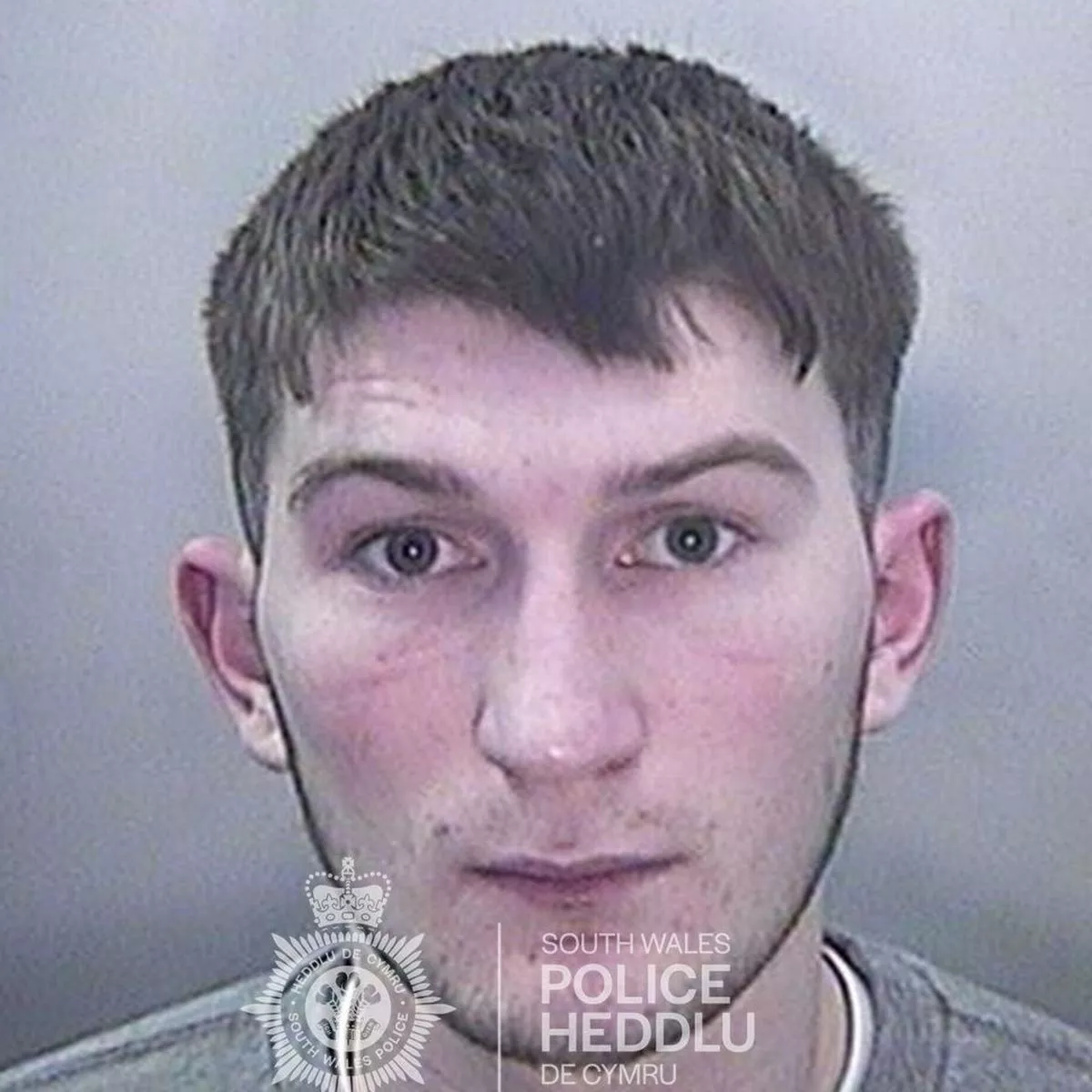 Harvey Vincents photo