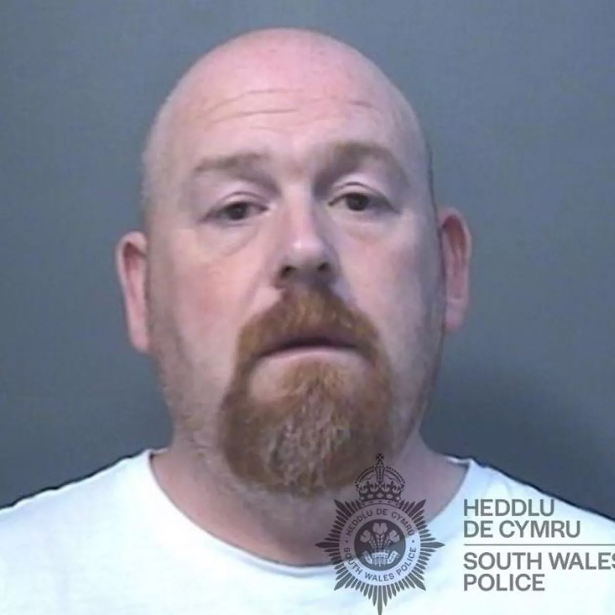 Alexander Wilson s photo