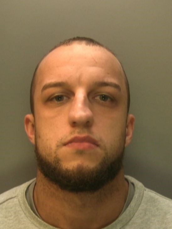 Andrew Wilson s photo